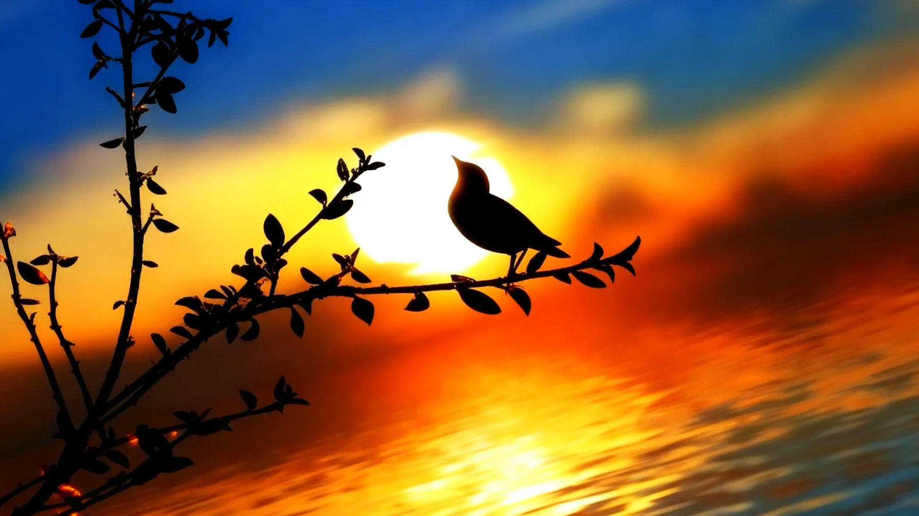 Beautiful 2026-01-24T20:33:15.190Z"