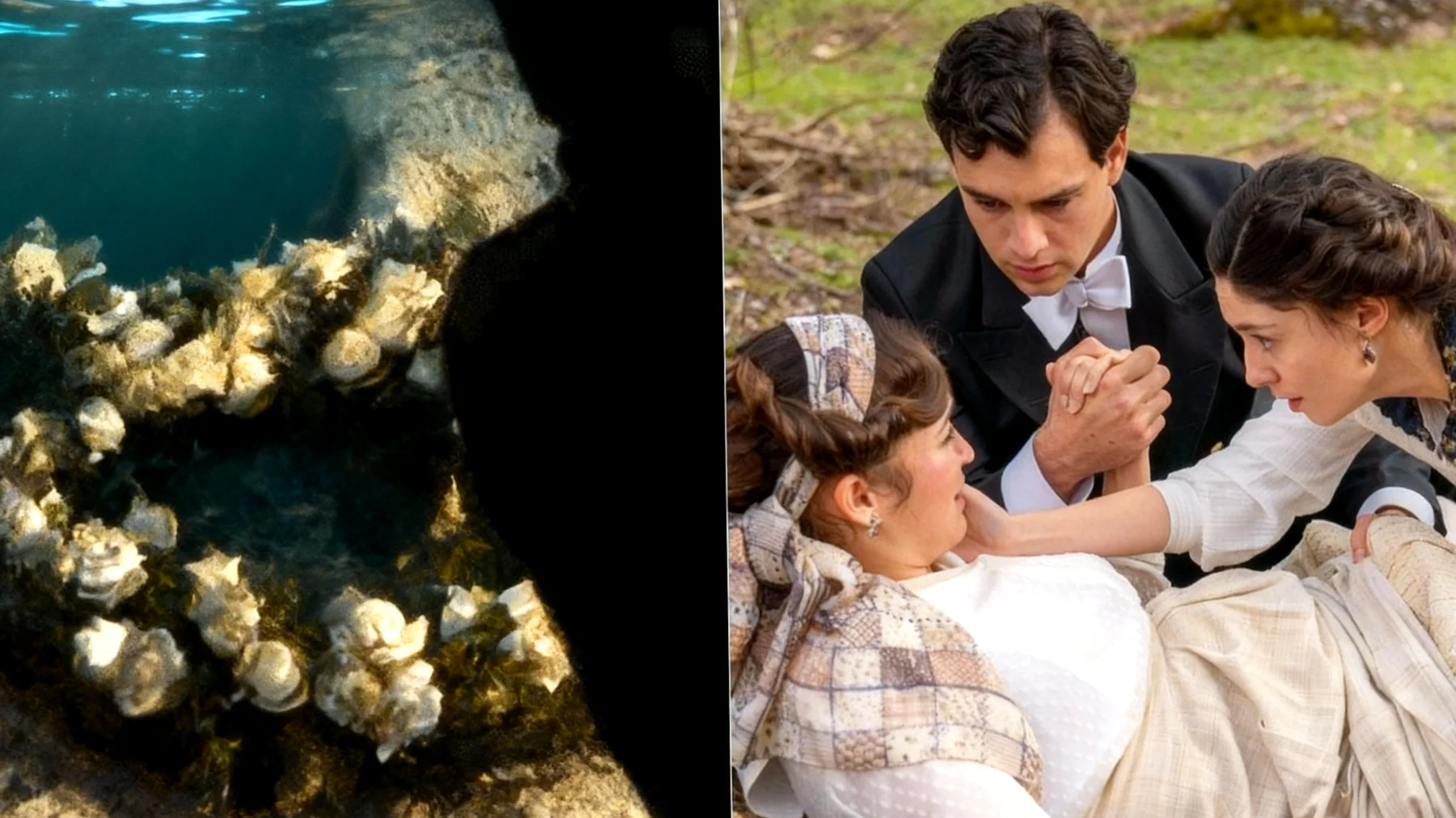 La Promessa 2026-01-31T16:38:39.084Z"